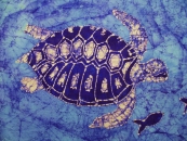 14.Sea_Turtle_Card.jpg&nbsp;&mdash;&nbsp;3072&times;2304&nbsp;px